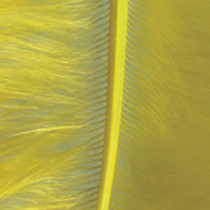 Marabufeder gelb
